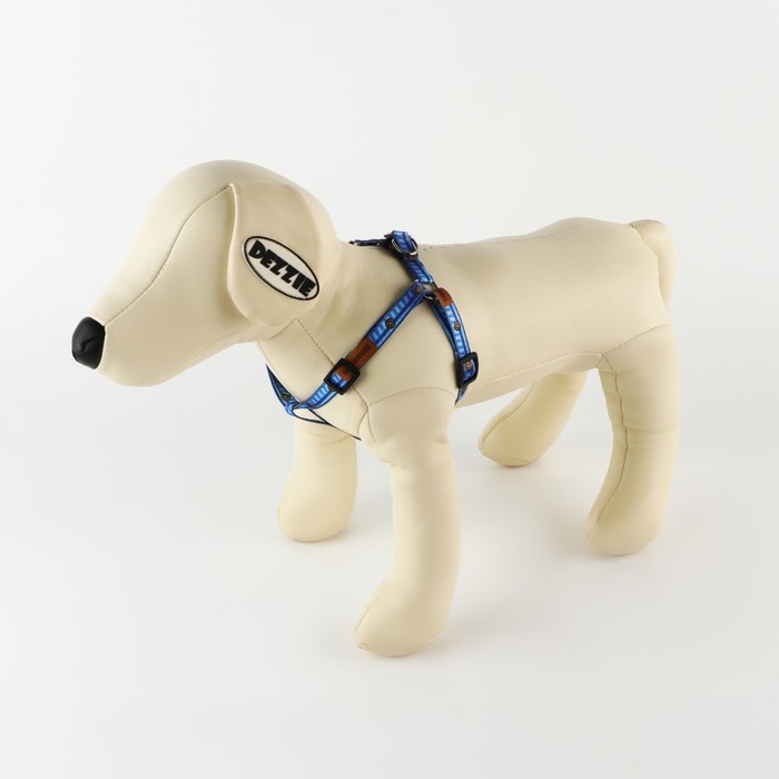 Комплект «Любимчик», шлейка 24-36 см, поводок 120х1 см