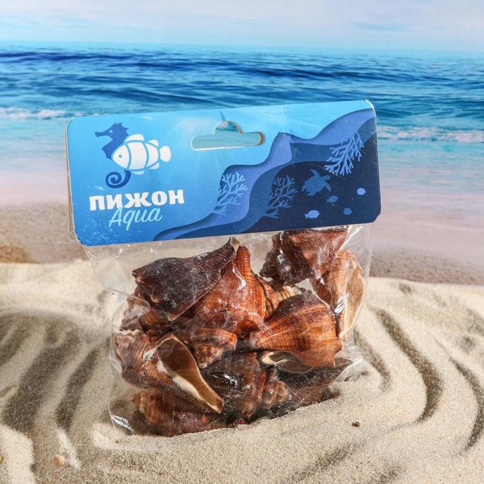 Набор ракушек, 5 - 7 см, 100 г Набор ракушек, 5 - 7 см, 100 г