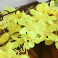 Цветы искусственные &laquo;Акация&raquo;, 4&times;90 см, жёлтые