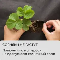 Материал мульчирующий, с перфорацией (4 ряда), 20&times;1.6 м, плотность 80 г/м&sup2;, спанбонд с УФ-стабилизатором, чёрный, Greengo, Эконом 30%