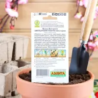 Семена цветов Виола "Швейцарские гиганты", Виттрока, смесь сортов, Дв, 0,1 г