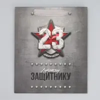 Пакет подарочный ламинированный, упаковка, &laquo;С 23 февраля&raquo;, ML 23&times;27&times;11.5 см