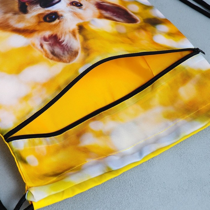 Мешок для обуви «Забавный корги» 2 секции, 30×40 см Мешок для обуви «Забавный корги» 2 секции, 30×40 см