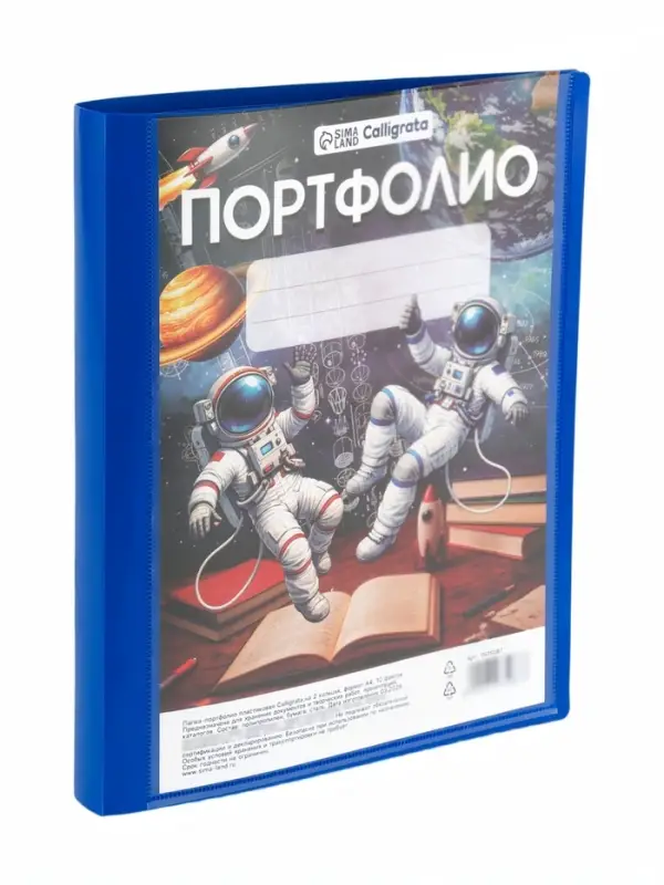Папка-портфолио А4, Calligrata &laquo;Космические друзья&raquo;, пластиковая, на 2 кольцах, для дошкольника, 10 файлов