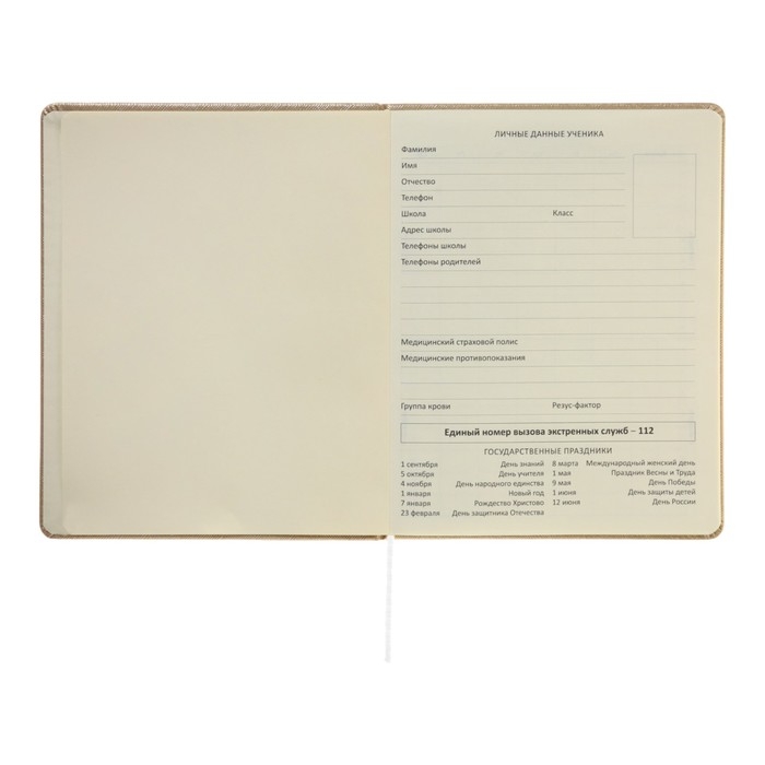 Дневник универсальный для 1-11 класса Bow, твёрдая обложка, искусственная кожа, тиснение фольгой, ляссе, 80 г/м2