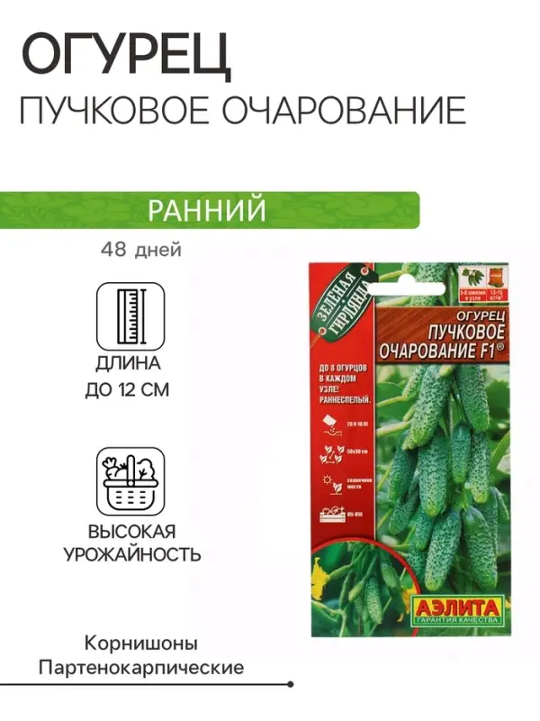 Семена Огурец  Семена Огурец "Пучковое очарование", F1, ц/п, 10 шт