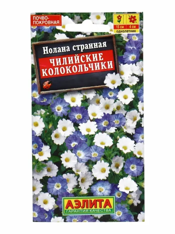 Семена цветов Нолана Чилийские колокольчики, смесь окрасок , Ц/П,0,3 г