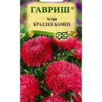 Семена цветов Астра однолетняя &laquo;Краллен Камео&raquo; 0.3 г