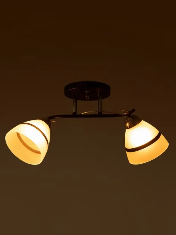 Люстра потолочная BayerLux &laquo;Лайма&raquo;, 2хЕ27, 40 Вт, черно-хромовый, 50&times;15&times;24 см