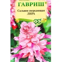 Семена цветов Сальвия Лира* 4 шт.
