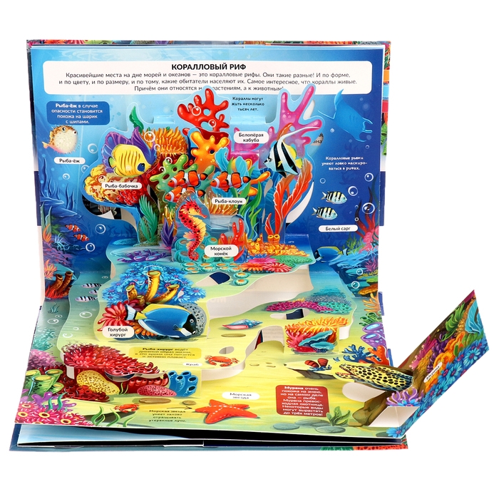 Энциклопедия-панорамка POP UP «Море» Энциклопедия-панорамка POP UP «Море»