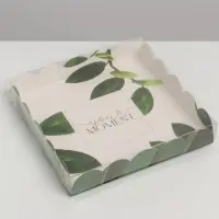Коробка для печенья, кондитерская упаковка с пластиковой крышкой, «Эко», 18 х 18 х 3 см