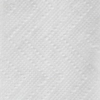 Полотенца бумажные д/дисп. Luscan Professional Zсл1слвт190л21пач/уп