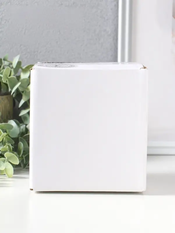 Сувенир полистоун лак "Черепашонок в кресле-мешке, читает книгу" 5,5х8,2х9,5 см