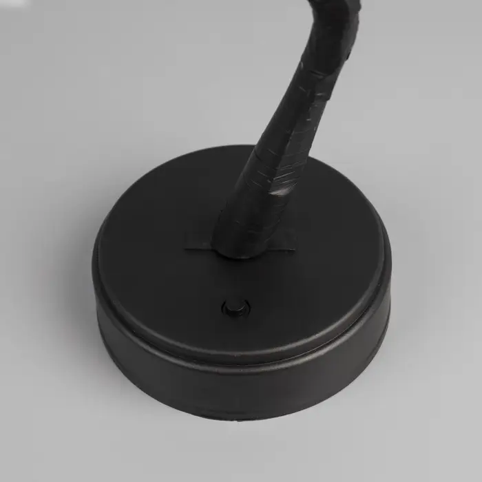 Светодиодный куст &laquo;Цветы&raquo; 45 см, 24 LED, постоянное свечение, от батареек AAx3, USB, свечение тёплое белое