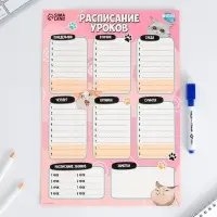 Расписание уроков &laquo;Милые кошечки&raquo; А4, многоразовое магнитное с маркером