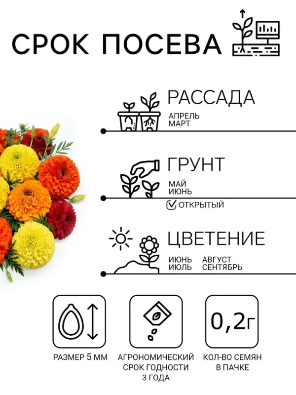Семена цветов Бархатцы &laquo;Махровые Гиганты&raquo;, ц/п, О, 0.2 г