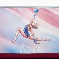 Сумка спортивная Russian sport, 40&times;24&times;21, отдел на молнии, розовая