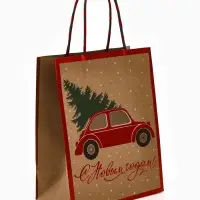 Набор подарочных пакетов «Подарок», 3 шт, 25×4×30.5 см, 30×40×11,5 см, 18×23×10 см Набор подарочных пакетов «Подарок», 3 шт, 25×4×30.5 см, 30×40×11,5 см, 18×23×10 см