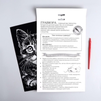 Гравюра «Котёнок» с металлическим эффектом «серебро» А4 Гравюра «Котёнок» с металлическим эффектом «серебро» А4