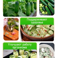 Семена огурца "Бабушкин внучок", F1, 10 шт.