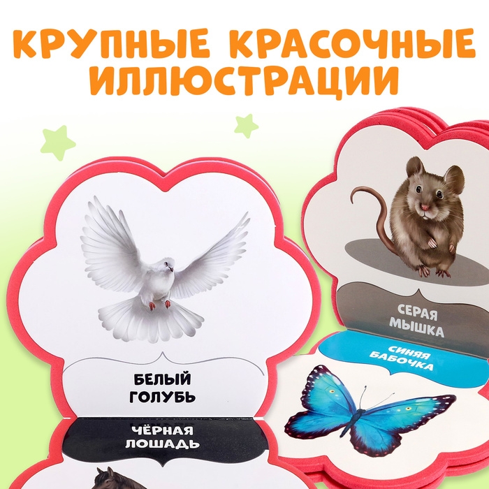 Мягкая книга EVA «Учим цвета», 12 стр. Мягкая книга EVA «Учим цвета», 12 стр.