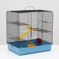 Клетка для грызунов "Сеня 3-1", 49&times;36&times;51 см, цвет МИКС