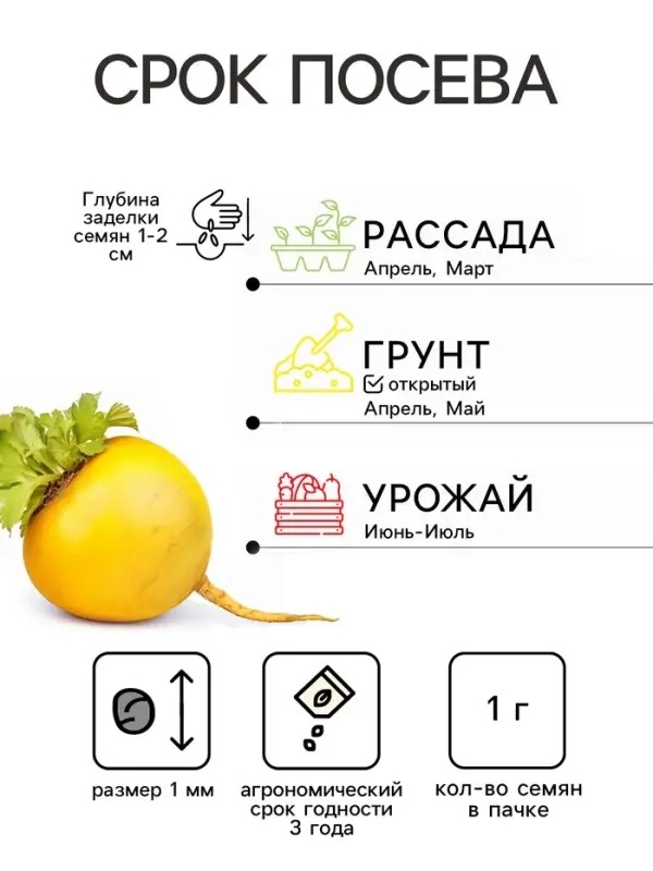 Семена Репа &laquo;Самаркандская местная&raquo;, &laquo;Сделано в СССР - Агрофирма АЭЛИТА&raquo;, 1 г