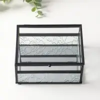 Шкатулка стекло с металлическим каркасом "Проталины" прозрачная 11,5х15х7,3 см