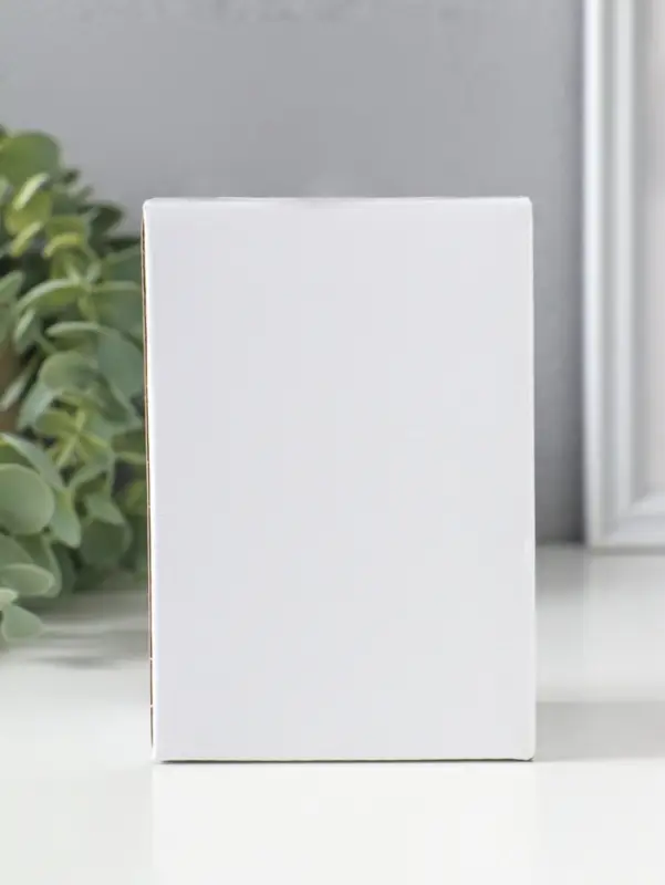 Сувенир полистоун "Зайчики-малыши нарядные" набор 2 шт 5,5х3х9,5 см