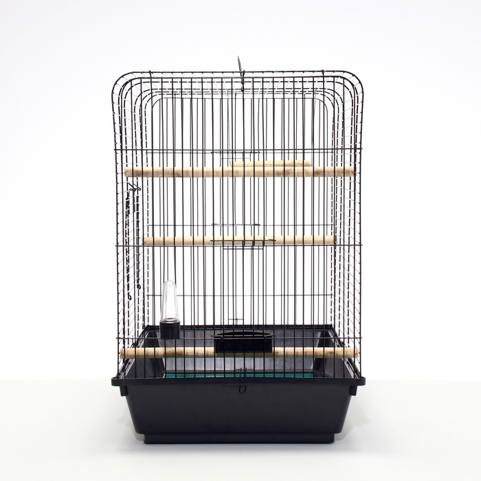 Клетка для птиц, Клетка для птиц, "Рикки max 3", 79 х 44 х 65 см, микс цветов