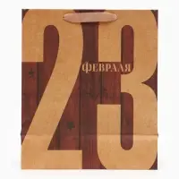 Пакет подарочный крафтовый, упаковка, &laquo;23 Февраля&raquo;, ML 23&times;27&times;8 см