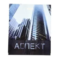 Пакет &laquo;Аспект&raquo;, полиэтиленовый с вырубной ручкой, 50&times;60 см, 100 мкм