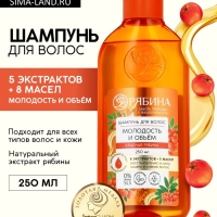 Шампунь для волос, молодость и объем, аромат рябины, 250 мл, Рябина
