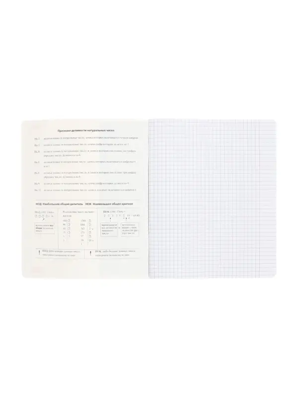 Тетрадь 48 листов в клетку &laquo;Буквица&raquo; МАТЕМАТИКА, обложка мелованный картон, матовая ламинация, тиснение фольгой, с интерактивным справочнико...