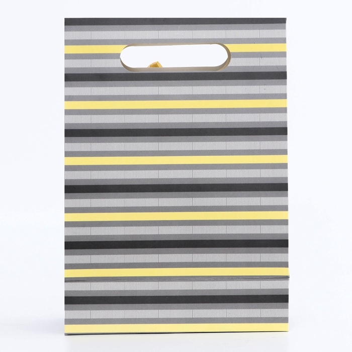Подарочная коробка-пакет, упаковка с вырубной ручкой, Подарочная коробка-пакет, упаковка с вырубной ручкой, "Прямые линии" , 19 х 9 х 27 см