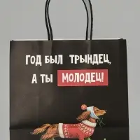 Пакет подарочный крафт &laquo;Молодец&raquo;, 22&times;22&times;11 см