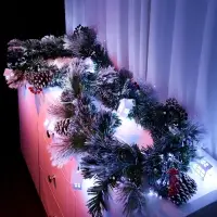 Хвойная гирлянда фиброоптическая «Заснеженная» 200 см, 8 режимов Хвойная гирлянда фиброоптическая «Заснеженная» 200 см, 8 режимов