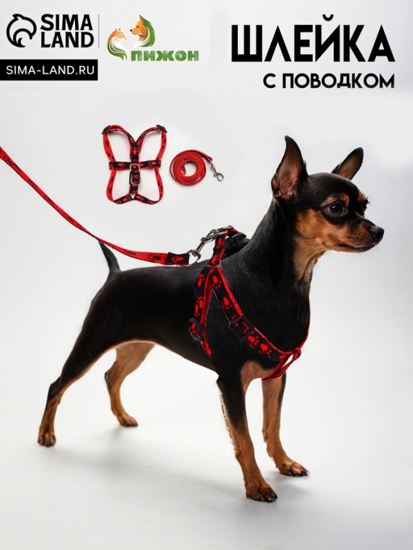 Комплект "Большая лапа", ширина 1,5 см, поводок 120 см, шлейка 28-42 см, красно-чёрный