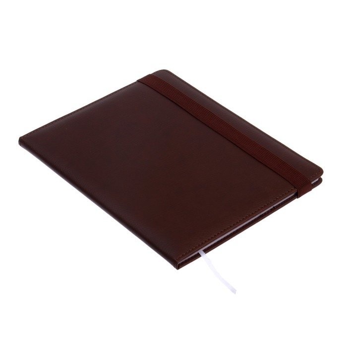 Дневник универсальный для 1-11 класса Dark brown, твёрдая обложка, искусственная кожа, с поролоном, ляссе, 80 г/м2