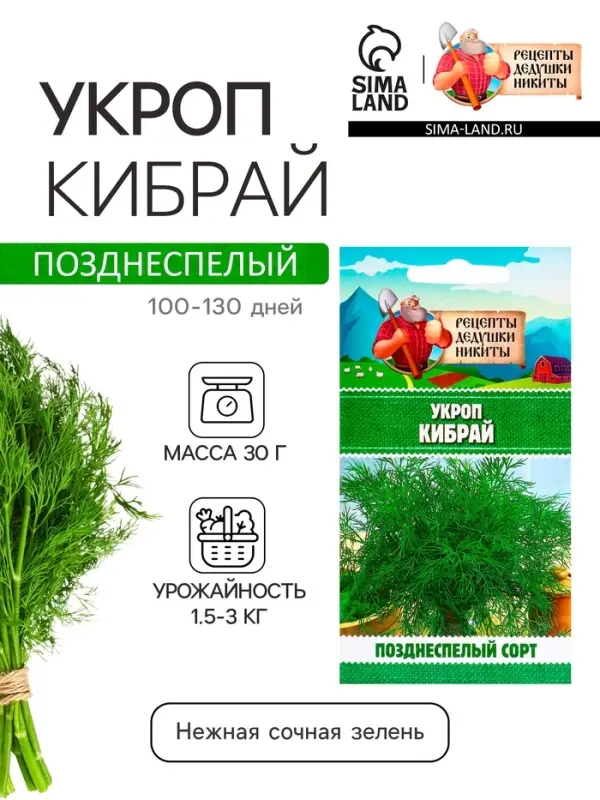 Семена Укроп  Семена Укроп "Кибрай", 1 г