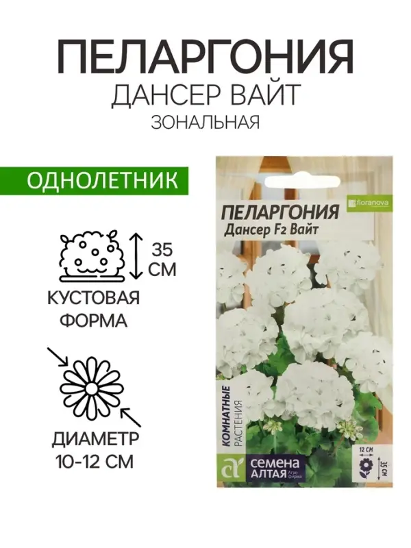 Семена цветов Пеларгония &laquo;Дансер Вайт&raquo;, зональная, 3 шт., &laquo;Семена Алтая&raquo;