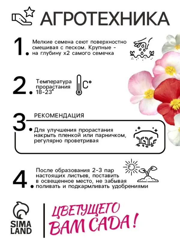 Семена  цветов Бегония вечноцветущая  Семена  цветов Бегония вечноцветущая "Сенатор F1", смесь, О, 10 шт