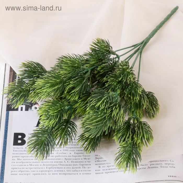 Букет  Букет "Пихта" 27 см