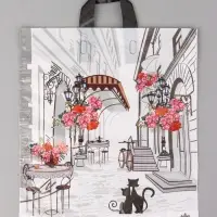 Пакет подарочный Маленькая история 42 х 38 см 37 мкм