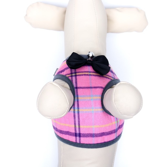 Комплект амуниции с мягкой шлейкой, S, поводок 120 х 1 см, ОШ 20-40 см, ОГ 30-44 см, розовый   78689 Комплект амуниции с мягкой шлейкой, S, поводок 120 х 1 см, ОШ 20-40 см, ОГ 30-44 см, розовый   78689