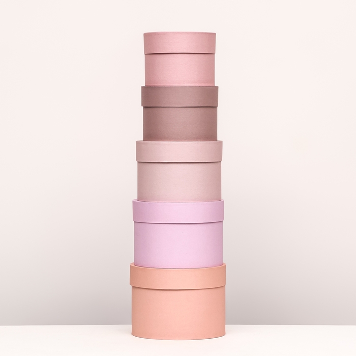 Набор шляпных коробок 5 в 1 "Крема" 20 х 14,5, 14 х 10 см