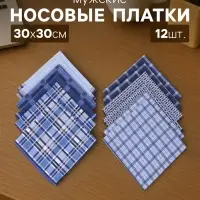 Платки носовые мужские &laquo;Этель&raquo;, 30&times;30 см, набор 12 шт., 100% хлопок, синие, рисунок МИКС