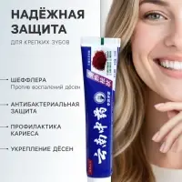 Зубная паста китайская традиционная на травах с шеффлерой, противовоспалительная, 110 г