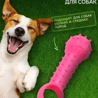 Игрушка-дразнилка для собак &laquo;Поймай меня!&raquo;, 9.5 см, TPR, розовая